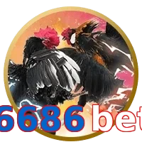 6686bet