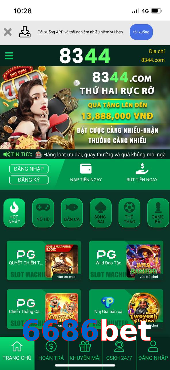 6686bet